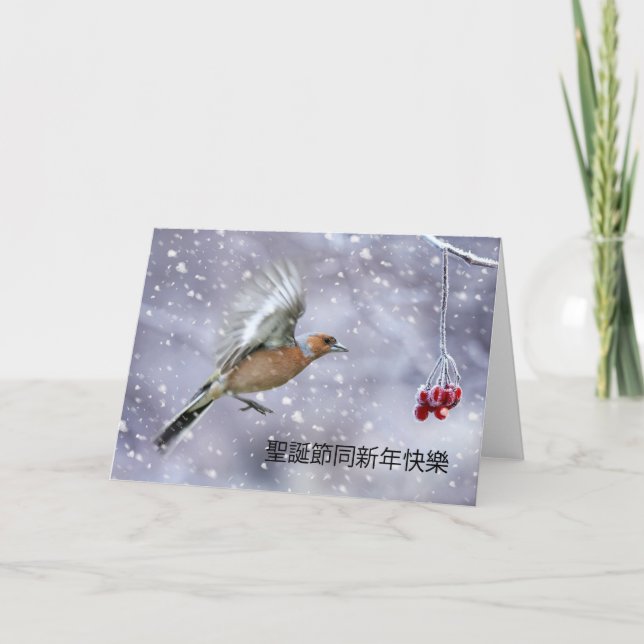Carte de Noël chinoise avec scène d'hiver Chaffinc (Devant)
