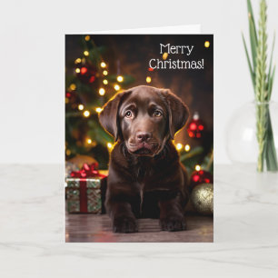 Carte de Noël Chocolat Labrador Chien de Chien de 