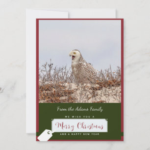 Carte de Noël Chouette neigeuse