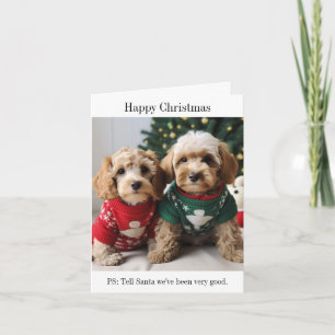 Carte de Noël Cockapoo Puppies