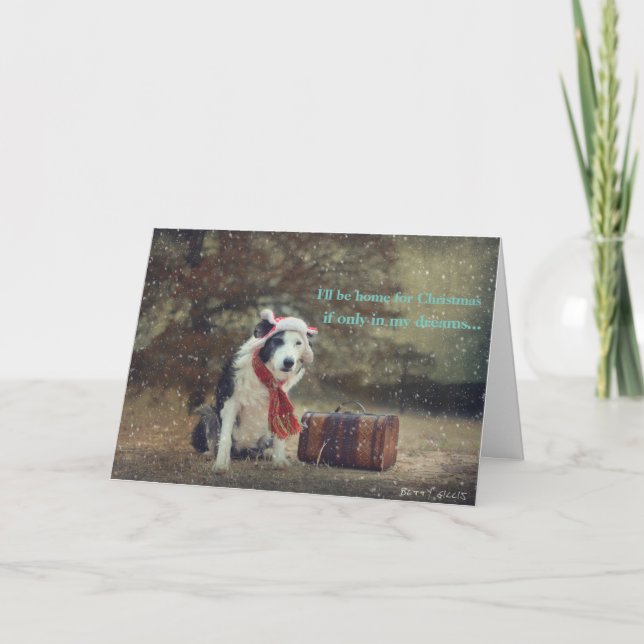 Carte de Noël Collie Bordure (Devant)