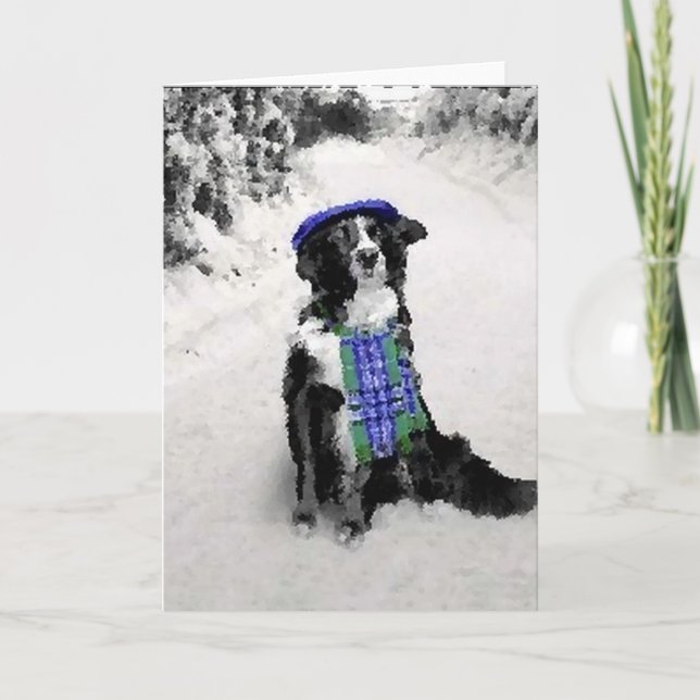 Carte de Noël Collie Bordure (Devant)