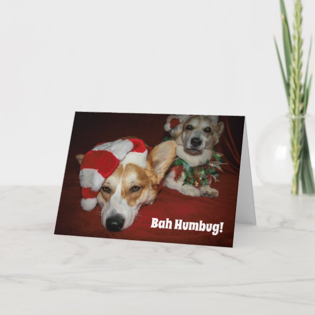 Carte de Noël Corgi (Devant)