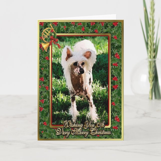 Carte de Noël crêtée chinoise de blanc de chien (Devant)