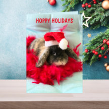 Carte de Noël Cute Holland Lop Bunny