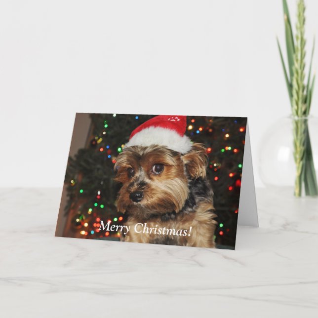 Carte de Noël Cute Yorkshire Terrier (Devant)