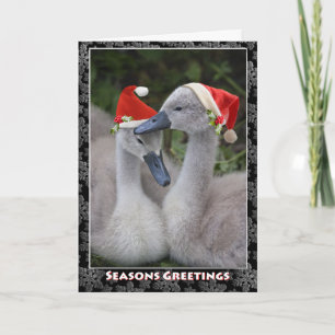 Carte de Noël Cygnet