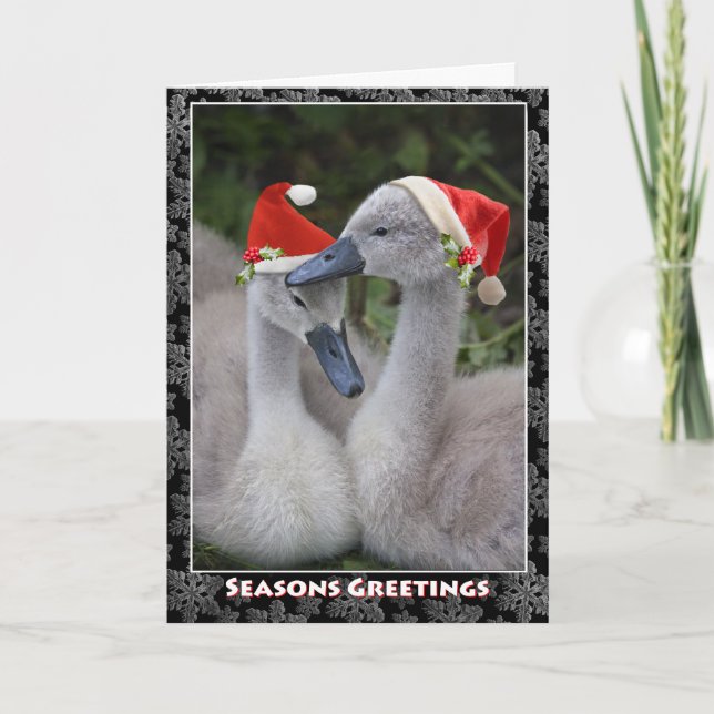 Carte de Noël Cygnet (Devant)