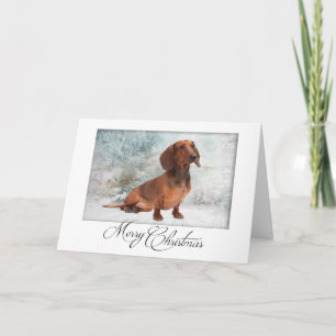 Carte de Noël Dachshund