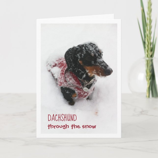 Carte de Noël - Dachshund à travers la neige (Devant)