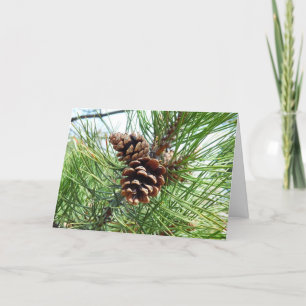 Carte de Noël d'aiguilles de pin