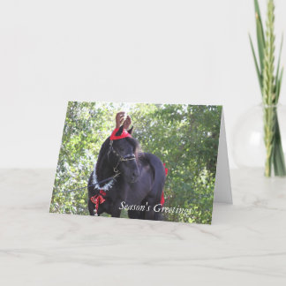 Carte de Noël Dales Pony