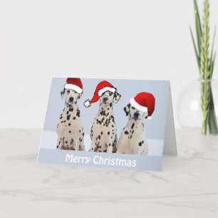 Carte de Noël dalmate