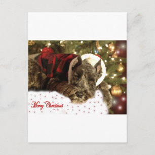 Carte de Noël d'animal familier