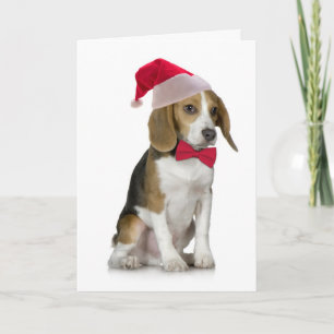 Carte de Noël de beagle de Père Noël