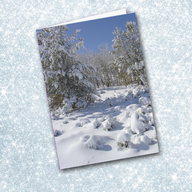 Carte de Noël de beauté de la forêt du Colorado (Créateur téléchargé)