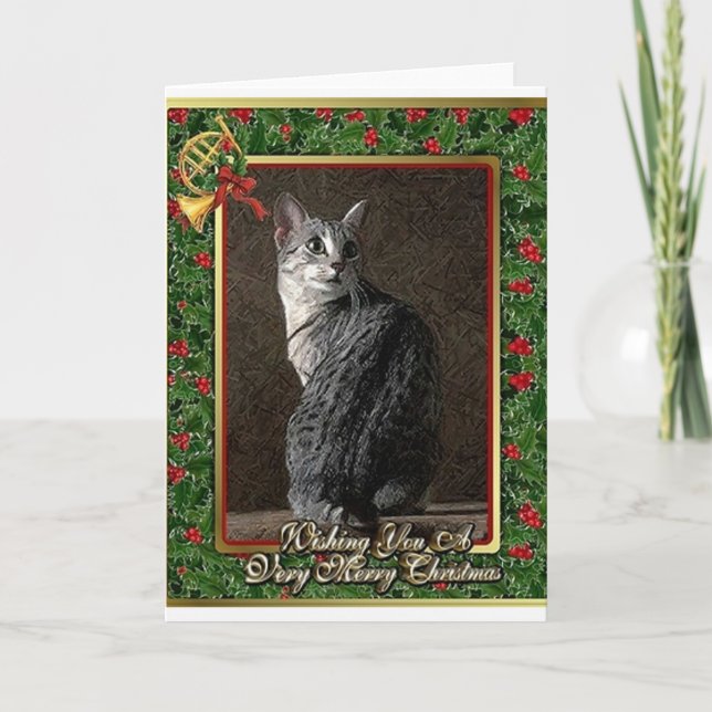 Carte de Noël de blanc de chat de Mau d'Egyptien (Devant)