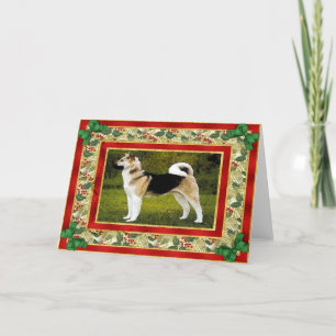 Carte de Noël de blanc de chien d'Akita