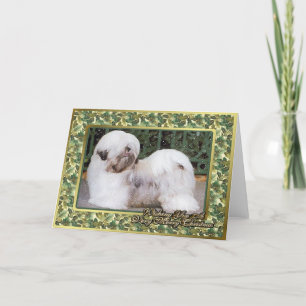 Carte de Noël de blanc de chien de Lhasa Apso