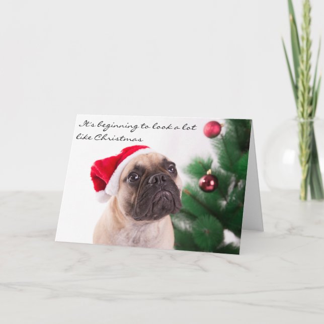 Carte de Noël de bouledogue français (Devant)