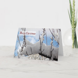 Carte de Noël de branche de neige