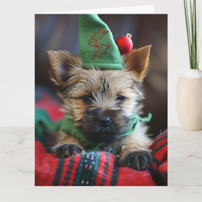 Carte de Noël de Cairn Terrier Elf Puppy (Devant)