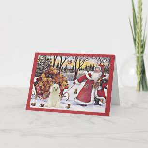 Carte de Noël de caniche Père Noël Ours en traînea