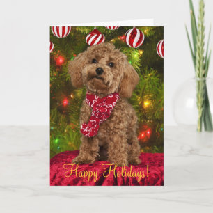 Carte de Noël de caniche rouge