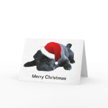 Carte de Noël de carlin