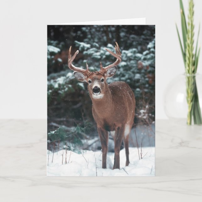 Carte de Noël de cerfs communs (Devant)