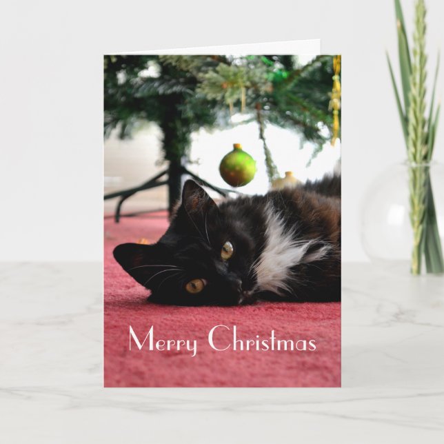 Carte de Noël de chat (Devant)