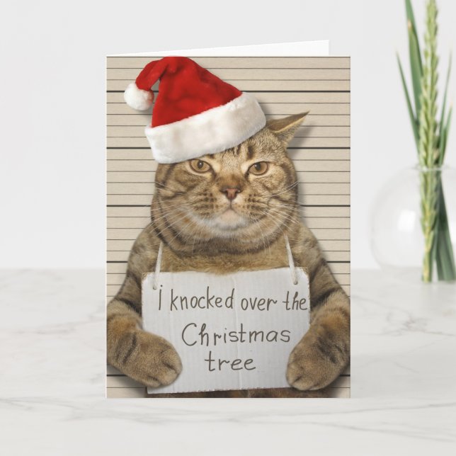 Carte de Noël de chat coupable en bonnet de Père N (Devant)
