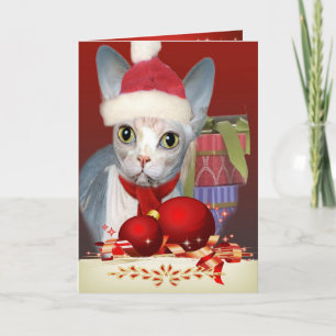Carte de Noël de chaton de Sphynx