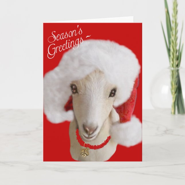 Carte de Noël de chèvre LaMancha Chèvre (Devant)