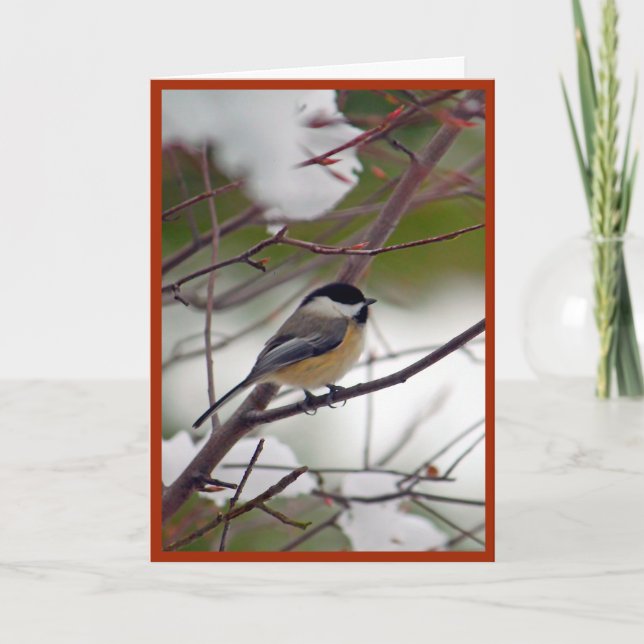 Carte de Noël de Chickadee (Devant)