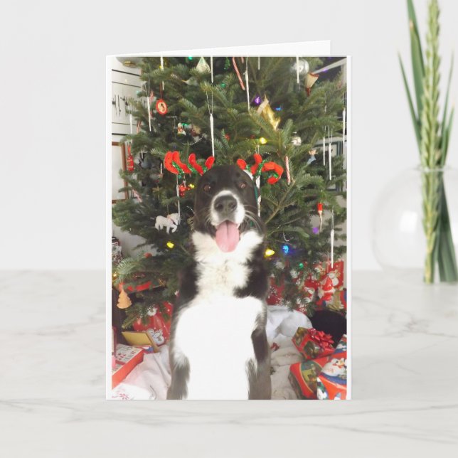 Carte de Noël de chien d'andouillers de renne (Devant)