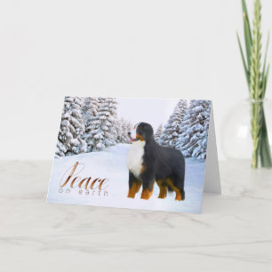 Carte de Noël de chien de montagne de Bernese