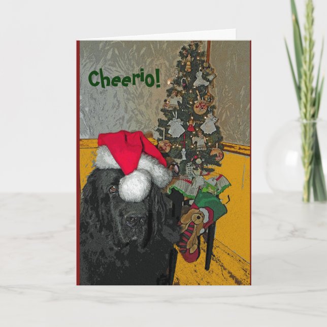 Carte de Noël de chien de Terre-Neuve (Devant)