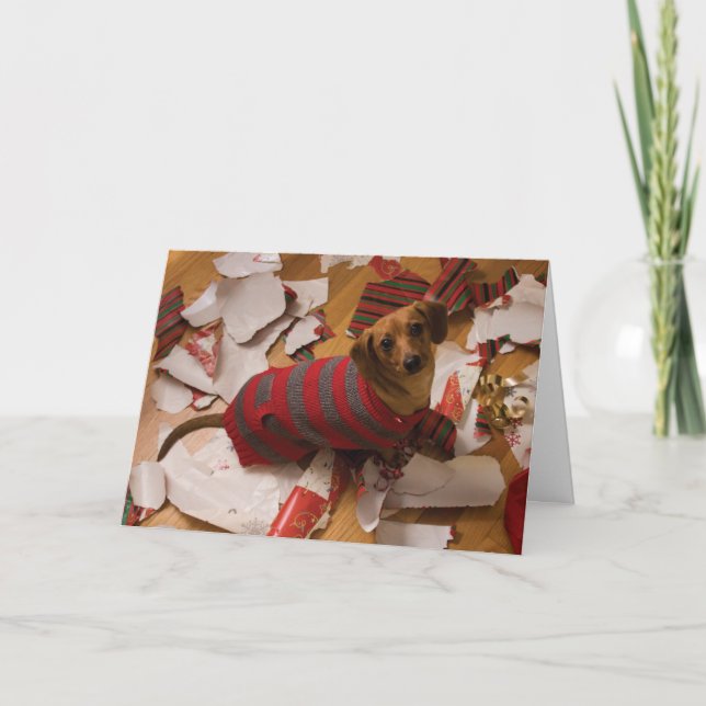 Carte de Noël de chien malad (Devant)