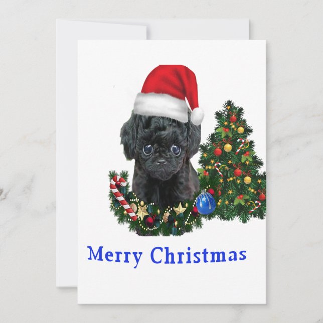 Carte de Noël de chien mignon Caniche (Devant)