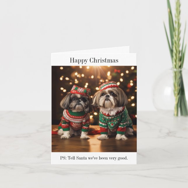 Carte de Noël de chiens Shih Tzu (Devant)