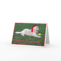Carte de Noël de chiot de golden retriever pliée