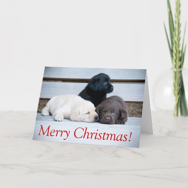 Carte de Noël de chiot de Karemy (Devant)