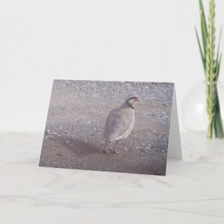 Carte de Noël de Chukar