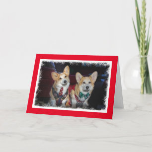 Carte de Noël de Corgi doux