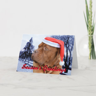Carte de Noël de Dogue de Bordeaux