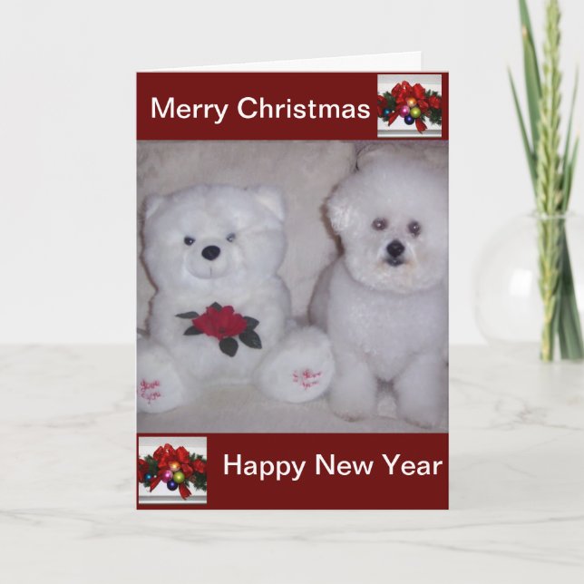 Carte de Noël de frise de Bichon (Devant)