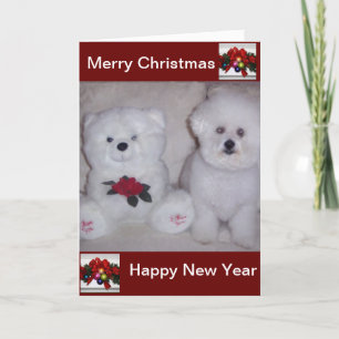 Carte de Noël de frise de Bichon