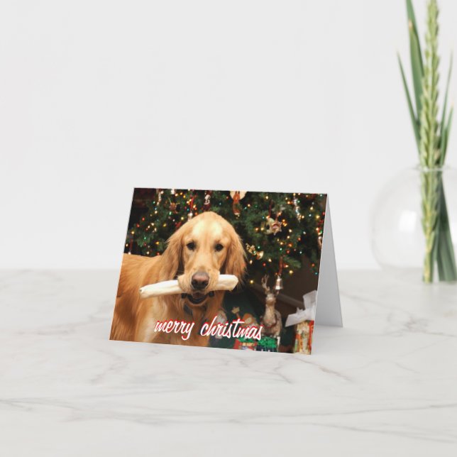 Carte de Noël de golden retriever (Devant)