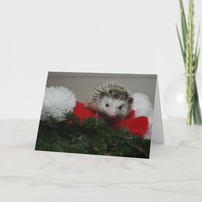 Carte de Noël de hérisson (Devant)